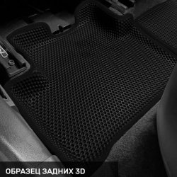 Левый пассажир