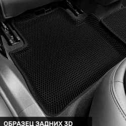 Левый пассажир